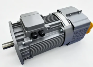 M1330YP Variable Frequency Speed Reducer